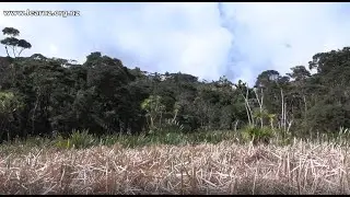 Wonderful wetlands