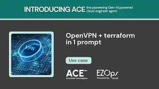 How to set up OpenVPN on Amazon EC2 (Amazon Elastic Compute Cloud) using Terraform with ACE Dev