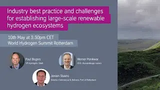 Industry best practice and challenges for establishing large-scale renewable hydrogen ecosystems