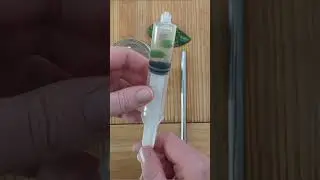 At Home #Photosynthesis Experiment! #scienceexperiment #science