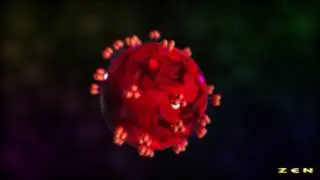 Educational Videos RAYSITI