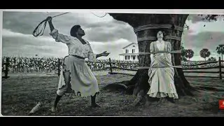 Evelyn of Texas: The Slave Woman Who Whipped Her Mistress on the Same Tree of Her Pain