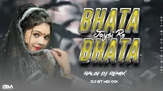 भाटा भाटा जायसी रे || Bhata Bhata Jaysi Re || DJ ST MIX 001 || Old Bastariya Dj Remix Song 2024