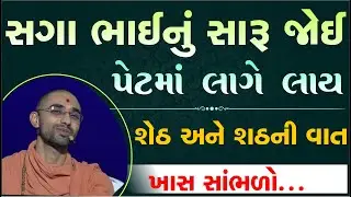 શેઠ અને શઠની વાત & બે સગા ભાઈનો પ્રસંગ | gyan prakash swami | satsang video | #swaminarayanvision