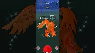 Getting Lucky With ✨Shiny Talonflame in #pokemongo