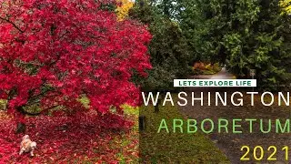Visiting Seattle's Washington Arboretum 2021