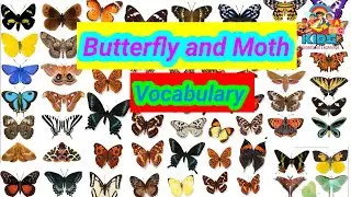 Butterfly and Moth Vocabulary| Butterflies and Moth Name in English with Pictures|Educational video