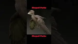 Burung Zaman Sekarang VS Burung Purba | Ngeriiii 😱😱😱😱😱 #shortvideo #shorts #birds #hewan #scary