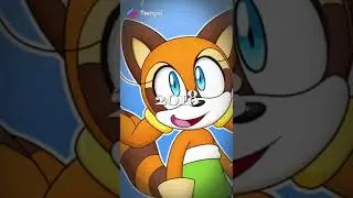 a Marine the raccoon edit