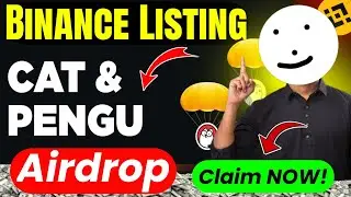 pengu airdrop | cat airdrop | binance list CAT & PENGU coin | simons cat coin | pudgy penguins coin