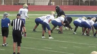 Brett's first TD pass as an Antler!