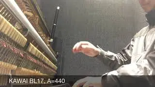 Equal temperament: 440(P8ve), 443(P8ve) and 440(P12th)
