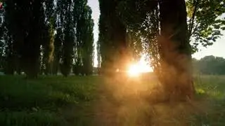Gr Dante - Altered Innocence