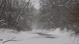 Piney Creek - Snowbound Video - January 25, 2026