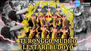 #Live jathilan turonggo mudho lestari budoyo bareng nyemuk Cs