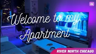 My Luxury Art Studio Apartment In Chicago!