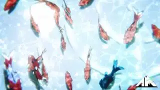 Night Tempo - Koi