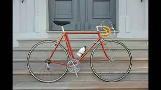 Check out all our bikes.