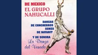 El Jarabe Nayarita