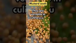 Benefits Of Mustard Seeds