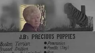 Missouri puppy mill auction scandal