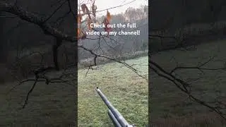 Deer gets clobbered by Mosin Nagant #deerhunting #mosinnagant #outdoors