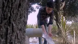 Natural B- Roll Cinematic / Natural b roll video / indian Cinematic video