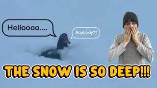 Our Birds Got LOST In The Snow!!!
