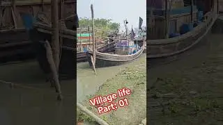গ্রাম্য জেলেদের জীবন! #viralvideo #villagelife #darkandbrightbd #shortsviral #love #fishing #fish
