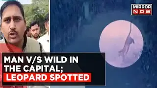 Massive Manhunt In Delhi's Sainik Farm Area For A Loose Leopard | Latest Updates