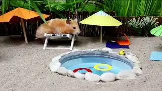 Tiny Hamster, Big Vacation / Kleiner Hamster, großer Urlaub