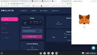 How to stake Unilayer to earn UnilayerX  + benefits of staking + DAO explained + 100x possible?