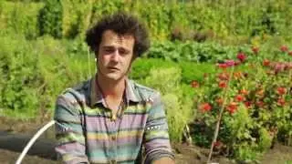 Leon Biundo - Soil, Food and Health Internship at Koanga Institute (Kotare Village)