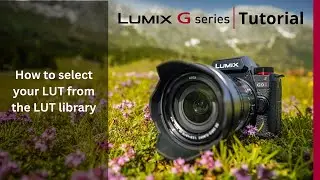 How to select your own LUT from the LUT Library on the LUMIX G9II
