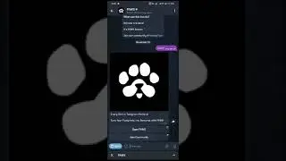 #paws #pawsairdrop paws mystery quest paws airdrop today's mystery quest. #trending #airdrop