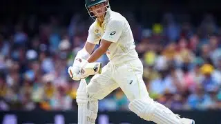 D,WARNER,300,RUN,CELEBRATION#davidwarner #shorts #cricketlover#cricket19gameplay#gta5#tiktokcricket