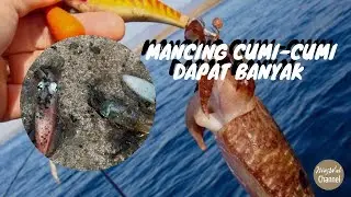 Memancing Cumi-Cumi Ala anak Kampung