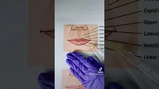 Aesthetic Injection Training Available | Skin Heaven Aesthetics & Wellness #skinheavenmedspa #medspa