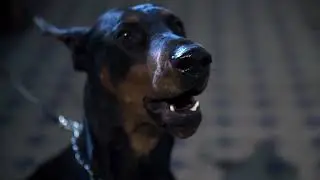 Slow motion dog bark - animation reference