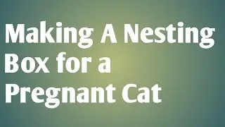 Making a Nesting Box for a Pregnant Cat
