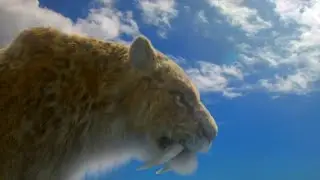 Ice Age Giants BBC [2013] - Smilodon Screen Time