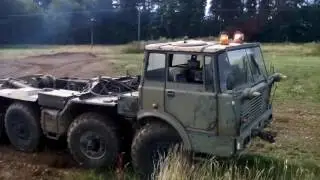 Tatra 813 AM 50 polygon 2