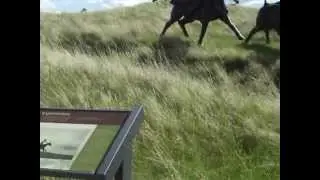 Tatanka Visitor's Center