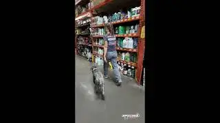 Kerry Blue Terrier I Terrier Training Phoenix I Reactive Dog Training I All-American K-9