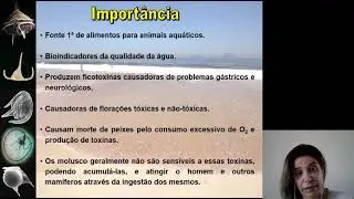 Dinophyta - Parte 2
