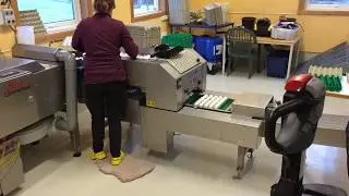 Egg Washer Mach-C solutions Inline Clean eggs