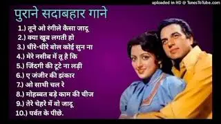 Hindi music Urdu song lofi song Indian song music Urdu song lofi song Indian song music Urdu song 