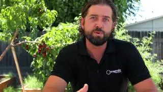 Orangevale Food Bank  |  Who We Are
