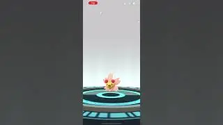 Pok&eacute;mon Go - Cherubi Evolution (Cherrim)