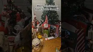 Merry Christmas! #Christmas #USA #Georgia #Holiday #Fyp #Shorts #Youtube #Celebration #Fish #Watch